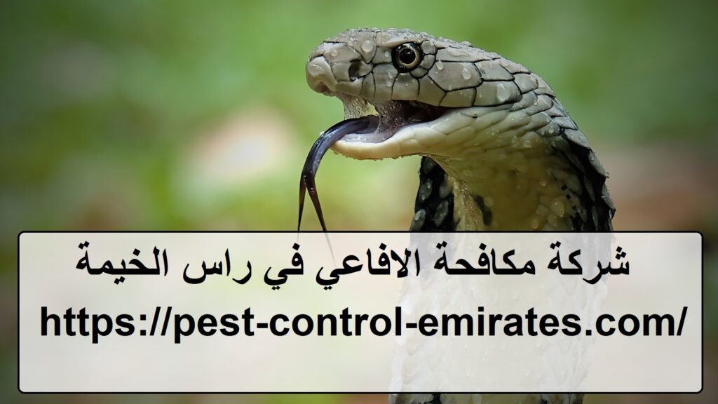 [صورة: %D8%B4%D8%B1%D9%83%D8%A9-%D9%85%D9%83%D8...24x576.jpg]