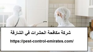 [صورة: %D8%B4%D8%B1%D9%83%D8%A9-%D9%85%D9%83%D8...00x169.jpg]