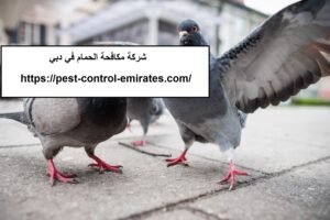 [صورة: %D8%B4%D8%B1%D9%83%D8%A9-%D9%85%D9%83%D8...00x200.jpg]