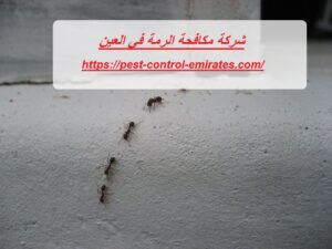 [صورة: %D8%B4%D8%B1%D9%83%D8%A9-%D9%85%D9%83%D8...00x225.jpg]