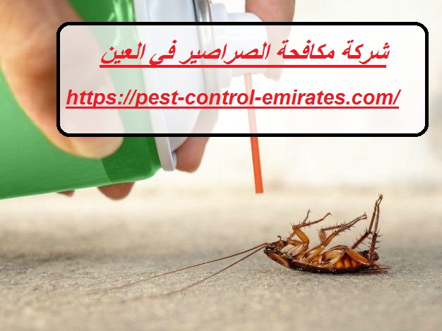 [صورة: %D8%B4%D8%B1%D9%83%D8%A9-%D9%85%D9%83%D8...%D9%86.jpg]