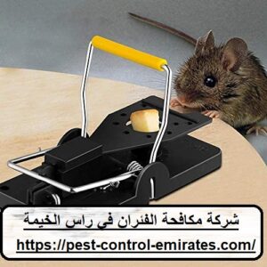 [صورة: %D8%B4%D8%B1%D9%83%D8%A9-%D9%85%D9%83%D8...00x300.jpg]
