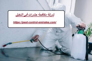 شركة مكافحة حشرات في النخيل